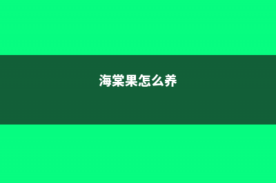 海棠果如何养 (海棠果怎么养)