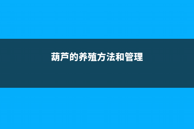 葫芦的养殖方法 (葫芦的养殖方法和管理)