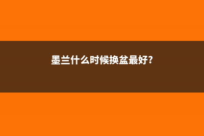 墨兰什么时候换盆 (墨兰什么时候换盆最好?)