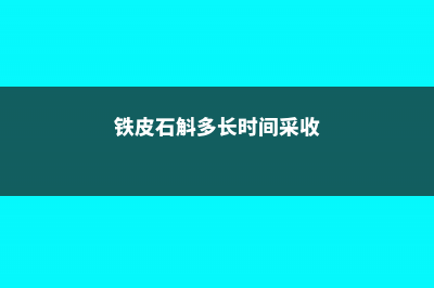 铁皮石斛多长时间浇水 (铁皮石斛多长时间采收)