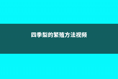 四季梨的繁殖方法 (四季梨的繁殖方法视频)