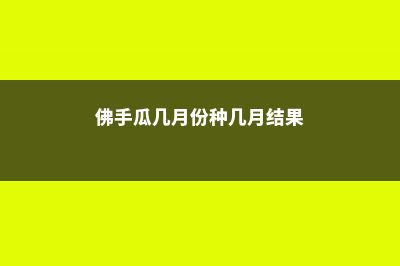 佛手瓜几月份种植 (佛手瓜几月份种几月结果)