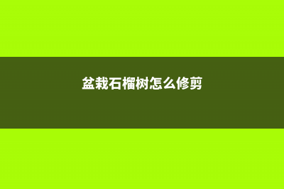 盆栽石榴树怎么打顶 (盆栽石榴树怎么修剪)