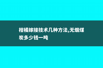 柑橘嫁接技术几种方法 (柑橘嫁接技术几种方法,无烟煤炭多少钱一吨)