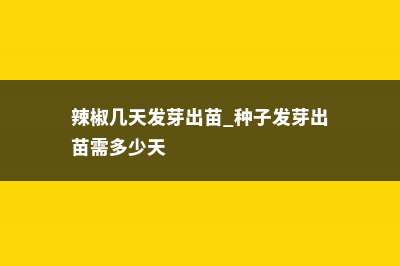 辣椒几天发芽 (辣椒几天发芽出苗 种子发芽出苗需多少天)