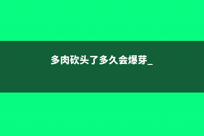 多肉砍头了多久会爆芽 