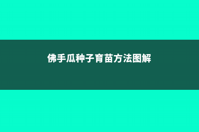 佛手瓜种子育苗方法 (佛手瓜种子育苗方法图解)