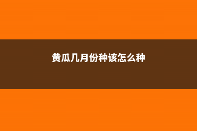 黄瓜几月份种，该怎么种？ (黄瓜几月份种该怎么种)