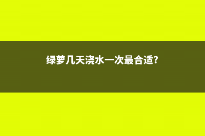 绿萝几天浇一次水 (绿萝几天浇水一次最合适?)