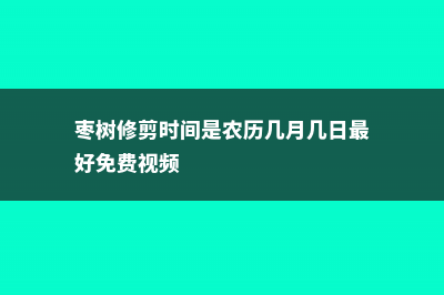 枣树修剪 (枣树修剪时间是农历几月几日最好免费视频)