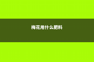 梅花上什么肥料好，梅花结果实吗 (梅花用什么肥料)