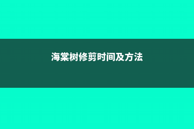 海棠树修剪时间及方法 (海棠树修剪时间及方法)