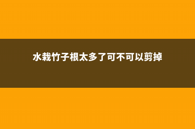 水竹根多了能剪吗 (水栽竹子根太多了可不可以剪掉)