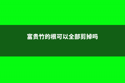 富贵竹的根可以修剪吗 (富贵竹的根可以全部剪掉吗)