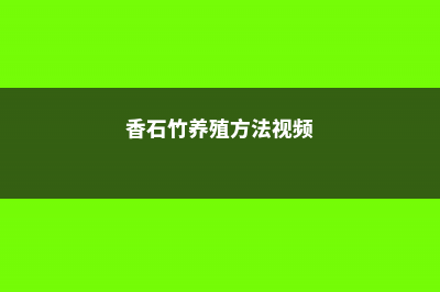 香石竹养殖方法 (香石竹养殖方法视频)