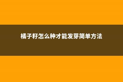 橘子籽怎么种 (橘子籽怎么种才能发芽简单方法)