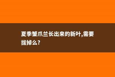 蟹爪兰新叶要掐吗 (夏季蟹爪兰长出来的新叶,需要拔掉么?)