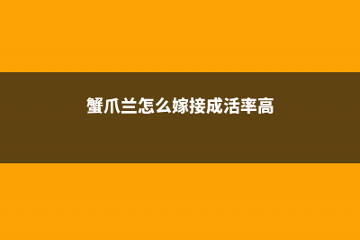 蟹爪兰怎么嫁接到仙人掌上 (蟹爪兰怎么嫁接成活率高)