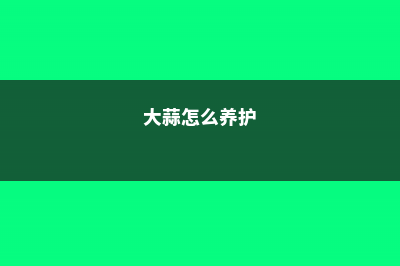 大蒜怎么养 (大蒜怎么养护)