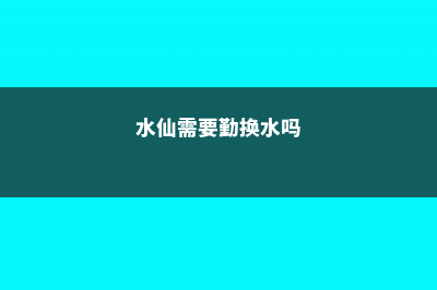 水仙多久换一次水，怎么养护 (水仙需要勤换水吗)