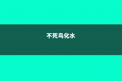 不死鸟可以净化空气吗 (不死鸟化水)