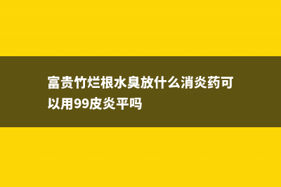 富贵竹烂根水臭秘方 (富贵竹烂根水臭放什么消炎药可以用99皮炎平吗)