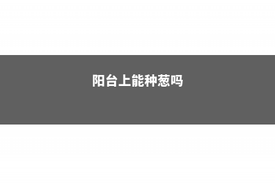 阳台可以种葱吗，如何养爆盆？ (阳台上能种葱吗)