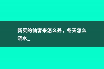 新买的仙客来怎么养，冬天怎么浇水 