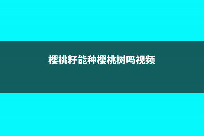 樱桃籽能种樱桃吗 (樱桃籽能种樱桃树吗视频)