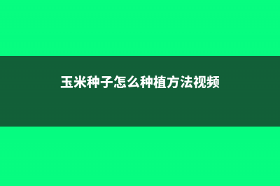 玉米种子怎么种（mc670玉米种子介绍） (玉米种子怎么种植方法视频)