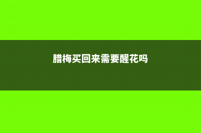 买回家的腊梅花怎么养，水培怎么养 (腊梅买回来需要醒花吗)