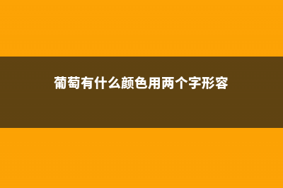 葡萄有什么颜色，不同品种和成熟度颜色不同 (葡萄有什么颜色用两个字形容)