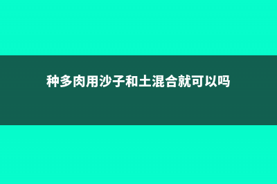 养多肉沙子和土的比例 (种多肉用沙子和土混合就可以吗)