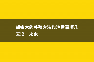 胡椒木的养殖方法 (胡椒木的养殖方法和注意事项几天浇一次水)