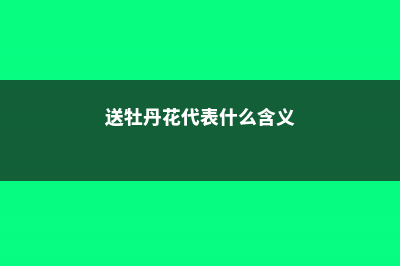 送牡丹花代表什么意思 (送牡丹花代表什么含义)