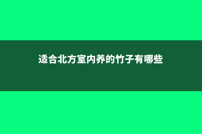 适合北方室内养的盆景有什么 (适合北方室内养的竹子有哪些)