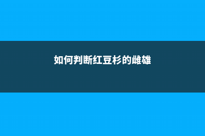 如何判断红豆杉死亡 (如何判断红豆杉的雌雄)