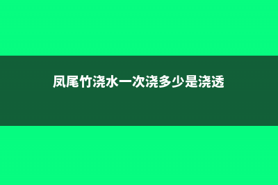 凤尾竹多久浇一次水 (凤尾竹浇水一次浇多少是浇透)