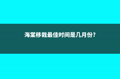 春天移栽海棠怎么浇水 (海棠移栽最佳时间是几月份?)