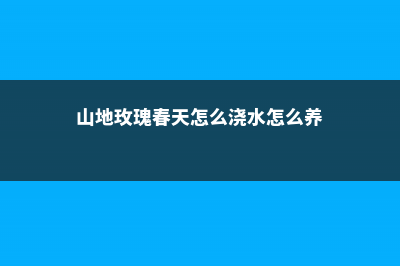 春天种山地玫瑰方法 (山地玫瑰春天怎么浇水怎么养)