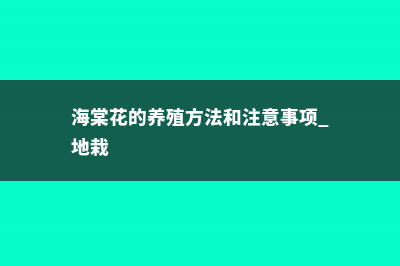 海棠花的养殖方法 (海棠花的养殖方法和注意事项 地栽)