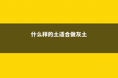 什么样的土适合养绿萝 (什么样的土适合做灰土)