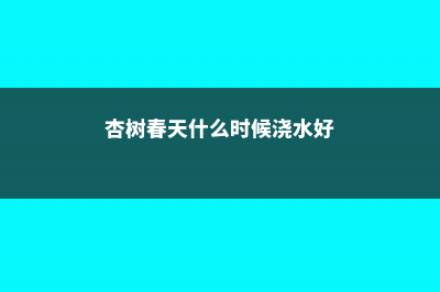 杏树在春天什么时候浇水 (杏树春天什么时候浇水好)