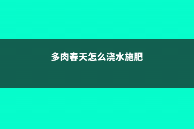 多肉春天怎么浇水 (多肉春天怎么浇水施肥)