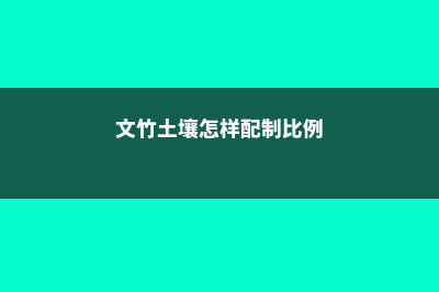 文竹土壤怎样配制 (文竹土壤怎样配制比例)