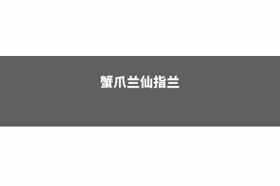 蟹爪兰仙客来···开完花掐这里，再开2次，1次比1次猛！ (蟹爪兰仙指兰)