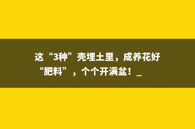 这“3种”壳埋土里，成养花好“肥料”，个个开满盆！ 