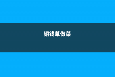 给“铜钱草”做这2个小动作，新叶长不停，1月就满盆 (铜钱草做菜)