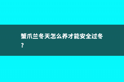 蟹爪兰“冬天”养，15天喂勺“特制水”，嫩叶花苞一齐冒！ (蟹爪兰冬天怎么养才能安全过冬?)