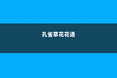 孔雀草花语、别名和养殖方法 (孔雀草花花语)